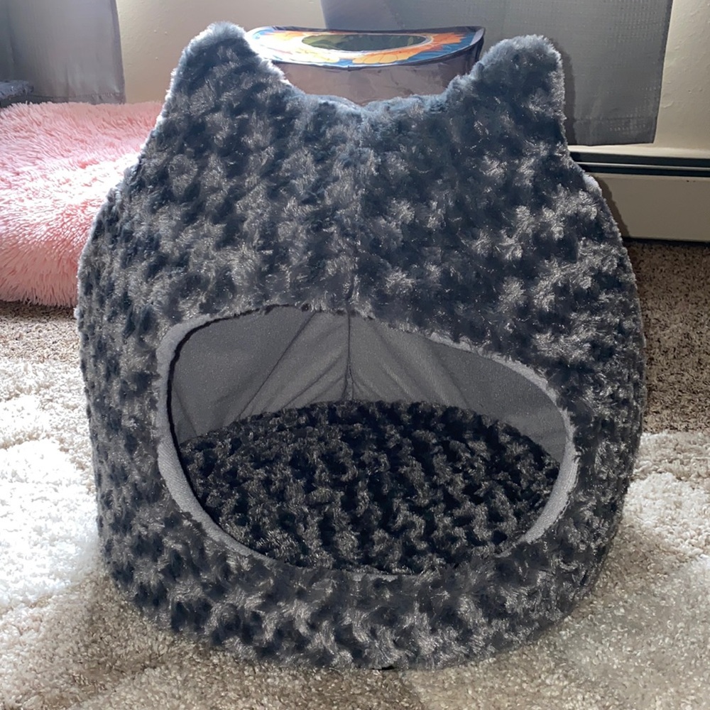 Super cute cat bed